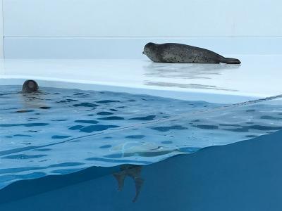 即身仏, 羽黒山五重塔, 加茂水族館*動画, 蔵王御釜と鎌倉温泉 ～山形・宮城 旅行記(ブログ) 1～