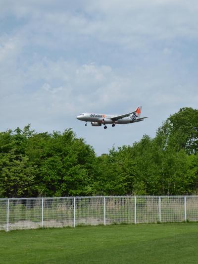 2018年6月　愛犬と飛行機三昧の日曜日（おまけで焼肉）