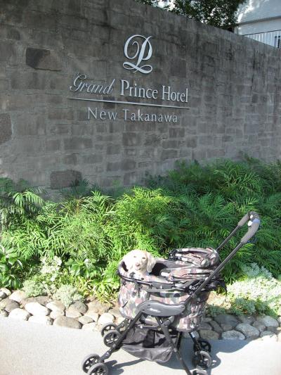 新高輪プリンスホテルのドッグルームに泊まってみたよ