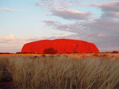 初上陸！オーストラリア大陸！   in  Uluru