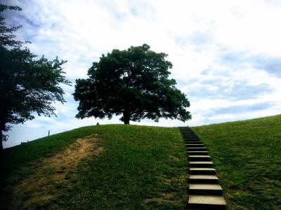 高台の「ゆずの木」眺めがいい清水ヶ丘公園