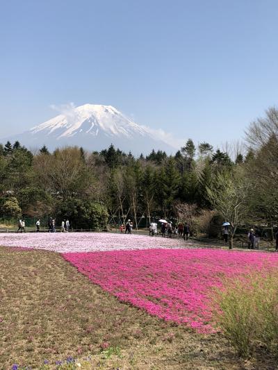富士芝桜祭り&チャレンジ富士五湖ウルトラマラソン