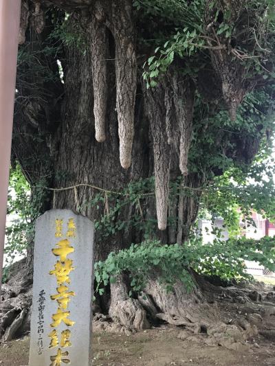 阪東三十三所札所めぐり(8)