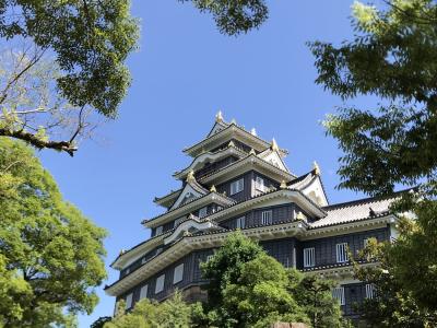 岡山旅行その1 岡山城と後楽園。