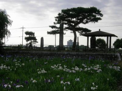 花紀行・・・②菖蒲城址公園の花しょうぶ