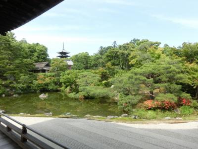 昔の仲間と、今年は奈良・京都その４：仁和寺。