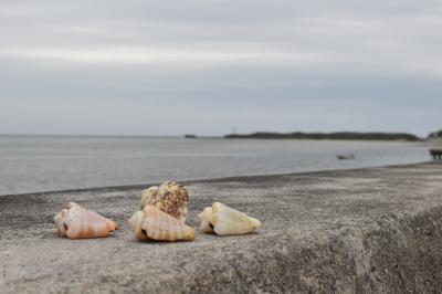修学旅行以来の沖縄へ 1日目