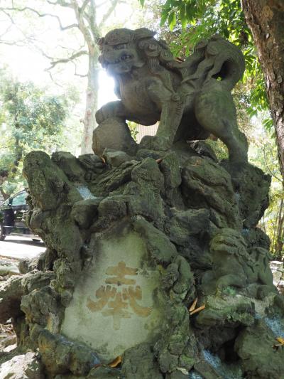 赤坂氷川神社　東京十社めぐり③　暴れん坊将軍!　徳川吉宗創建した社殿が現存。忠臣蔵　浅野家・勝海舟との繋がりも!