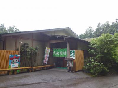 峠の味どころ。大越路で手打ち蕎麦を食す。