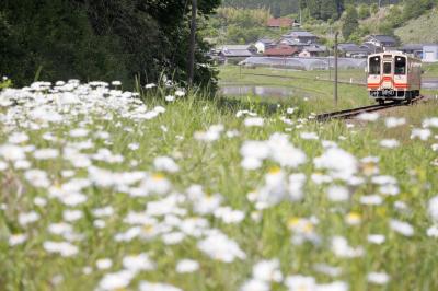 胸キュン♪ 鉄道風景を求めて･･･明知鉄道の旅