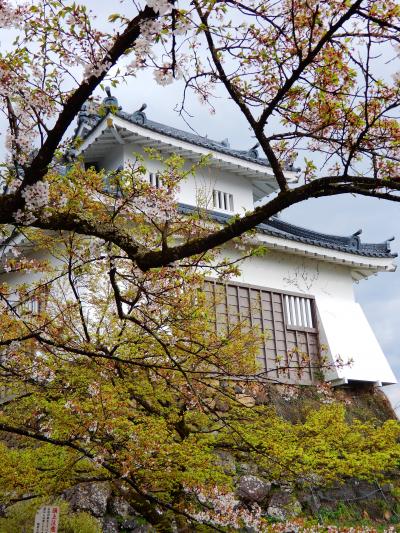 '18　現存天守二城巡りと桜を求めて（越前大野城）