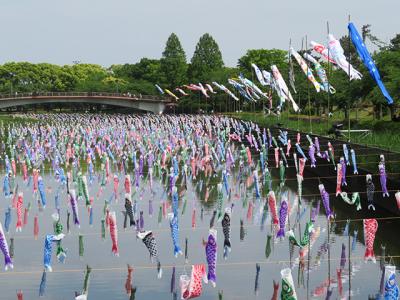 ＧＷはこいのぼり②　ギネス認定館林