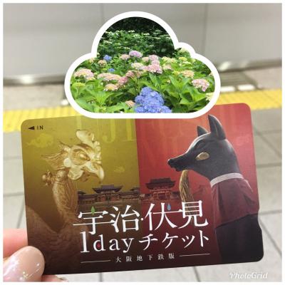 あじさい&伏見稲荷with女子日帰り旅