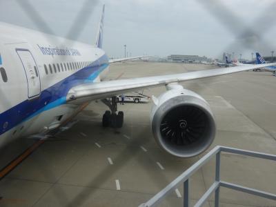 Boeing 787-8 に乗りました。早朝7:40発。成田行き。全日空 NH338便。です。
