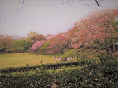 2018 APR 【日本100名城No.20】佐倉城　徳川幕府を支えた歴代老中が替り治めた１１万石の藩庁　