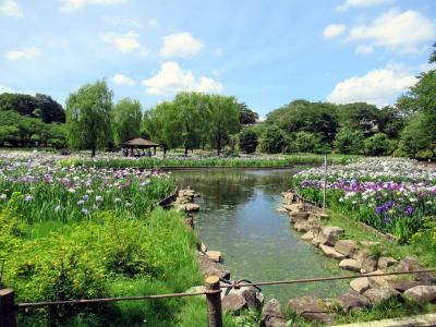 守谷の花菖蒲とアサヒビール工場見学