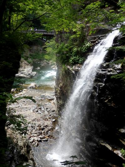 青いケシと龍王峡、日光天然氷でかき氷。