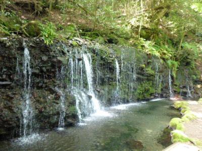 箱根古道（千条ノ滝～浅間山～湯坂路）を歩く