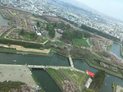 GW桜を観に北海道へ～函館編～