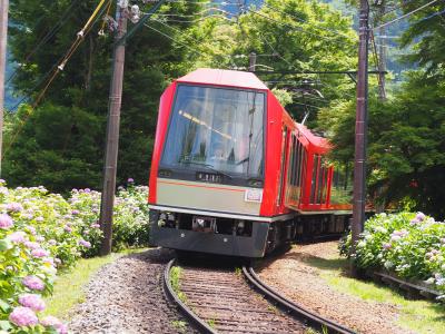 箱根あじさい電車はちょっと早かった♪（でも写真の勉強も兼ねて♪）　