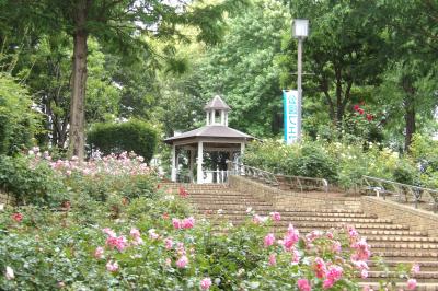 相模原北公園バラ園