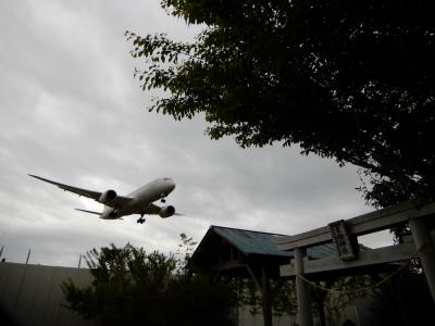 成田空港南端の着陸する飛行機の撮影スポット！今や職質なき東峰神社へ・ド迫力！！飛行機が頭上を飛び越え轟音を鳴り響かせる