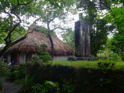奄美大島の自然と西郷どんの足跡を訪ねてーー。