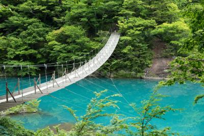 寸又峡の絶景と旬の桜エビを楽しむ旅