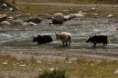 四川省チベット族ガンゼ自治区4　甘孜ー徳格