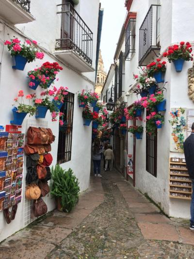 スペイン8日間(3)~マドリード~コルドバ