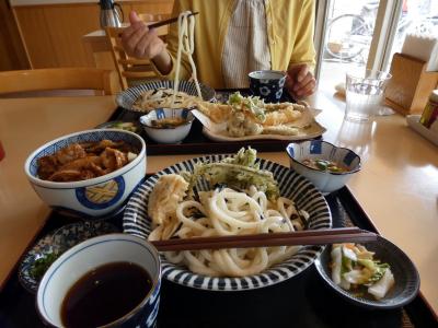 讃岐うどん福梅の昼食　竹沢園芸種苗　三島市佐野体験農園 夏野菜の植付　タマネギの収穫