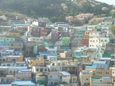 ☆初めての釜山、美味しい食物を求めて街歩き