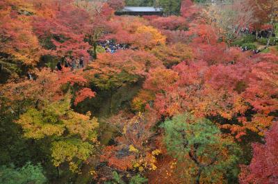 京都