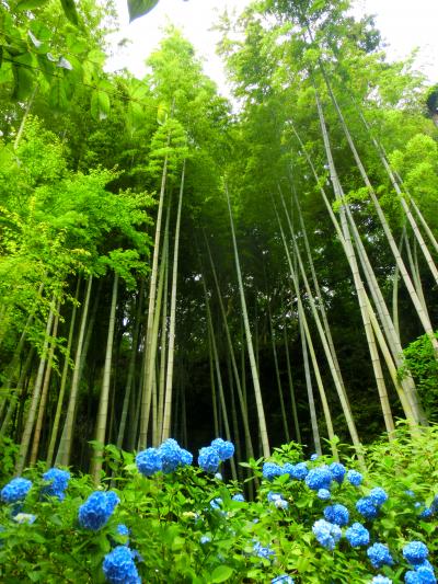 鎌倉プチ散策～散策に備え『ダイヤモンド鎌倉別邸ソサエティ』前泊・由比ヶ浜にある古民家『鎌倉 松原庵』で美酒美食堪能