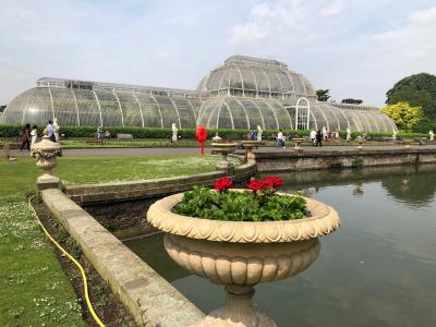 キュー王立植物園へ～2018年5月