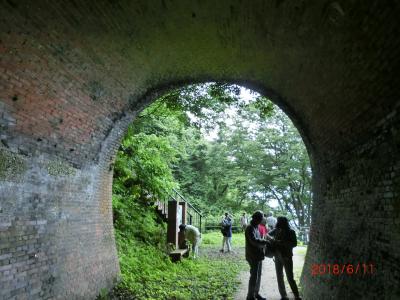 2018/6　*1奥只見遊覧船で夏が近づく尾瀬沼＆親不知・湯沢高原の3日間（親不知ウォーク１日目）