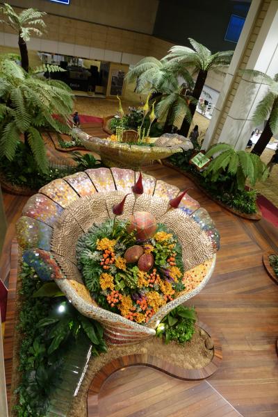 2018 SFC修行記③OKA-SINタッチ 入国しない弾丸1泊3日 往路のみビジネスアップグレード成功