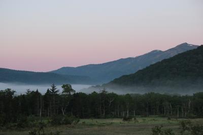 尾瀬　梅雨の晴れ間を歩くの巻②