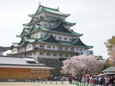 2018.4 名古屋　－名古屋城・金シャチ横丁－
