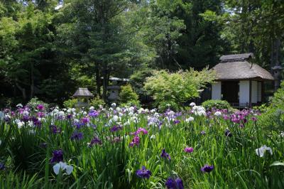 晩餐会の前に･･･フォトジェニック桑名　（諸戸氏庭園、六華苑、ドゥクールショコラ）