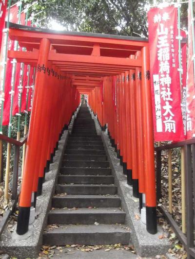 都心の日枝神社，赤坂氷川神社，豊川稲荷東京別院を巡った