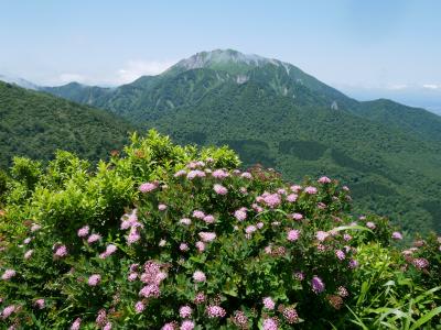 2018年6月16日（土）　国立公園大山山系　船上山・勝田ケ山・ゴジラの背・甲ケ山・小矢筈ケ山・矢筈ケ山・大休峠・川床道・香取別れ・香取県民の森／登山・トレッキング