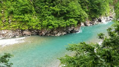 新緑の黒部峡谷♪～２０１８前編～