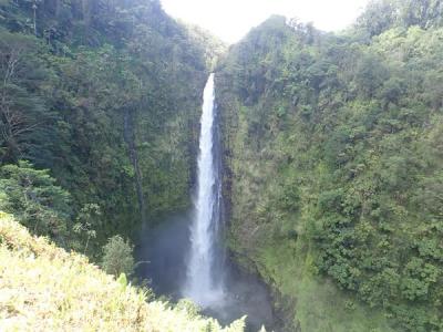 ハワイ島（１５）癒しのパワースポット・アカカの滝