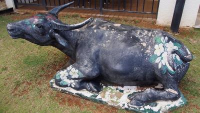 こさまと行くグアム(9歳8ヶ月編)3日~最終日