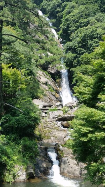 あじさいの見帰りの滝と樫原湿原トキソウと佐賀牛vs呼子活イカ山海味覚食べ比べ