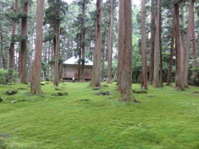 越前の苔寺・白山平泉寺ウォーキング