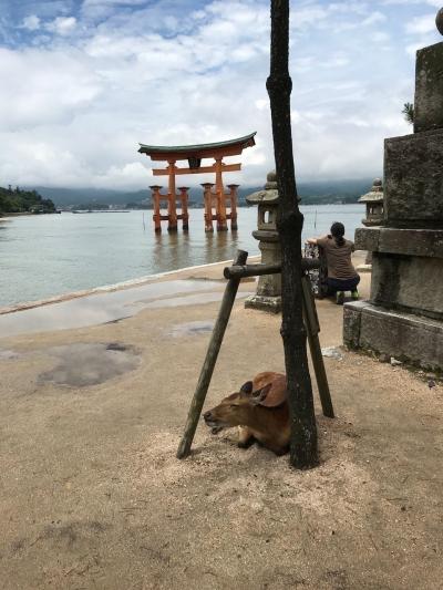 厳島神社とは