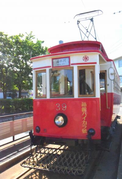 路面電車のいる街(函館編)＋大沼公園