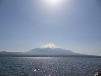 チャレンジ富士五湖ウルトラマラソン2018